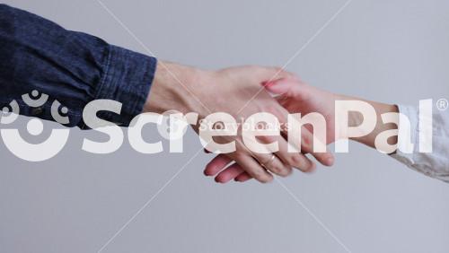 Business People Shaking Hands Close Up. People Shaking Hands.